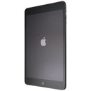Apple iPad mini 3 (7.9-inch) Tablet (A1599) Wi-Fi Only - 128GB / Space Gray - Apple - Simple Cell Shop, Free shipping from Maryland!