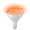 BlueX LED PAR38 Flood Light Bulb 10W (90W Equivalent) - Orange (2 Pack) - Bluex - Simple Cell Shop, Free shipping from Maryland!