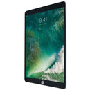 Apple iPad Pro 10.5-inch Tablet (A1701) Wi-Fi Only - 256GB / Space Gray - Apple - Simple Cell Shop, Free shipping from Maryland!